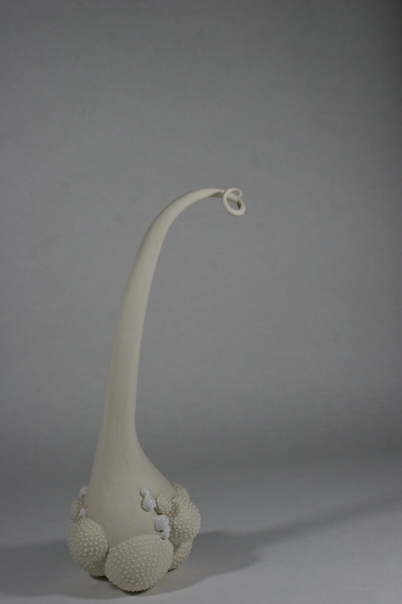 Flagella Bianco 1808