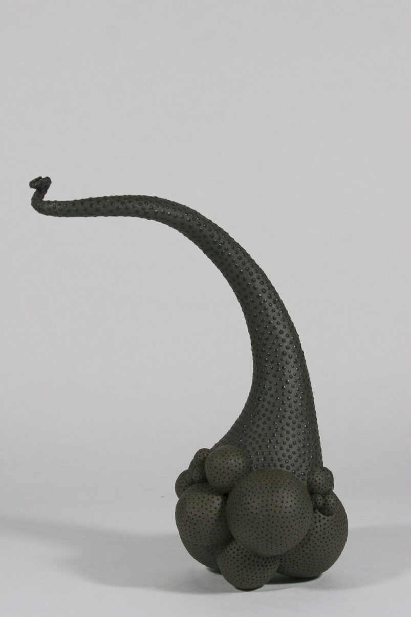 Flagella Nero 2020-02
