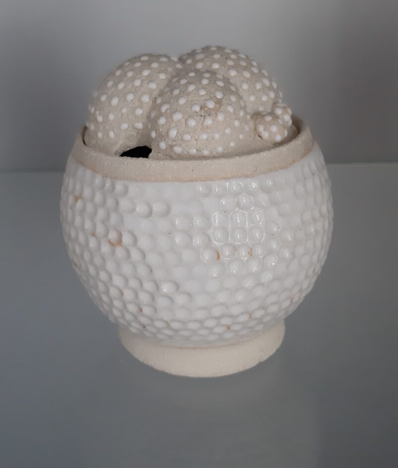 Clusterbol mini 2021-01