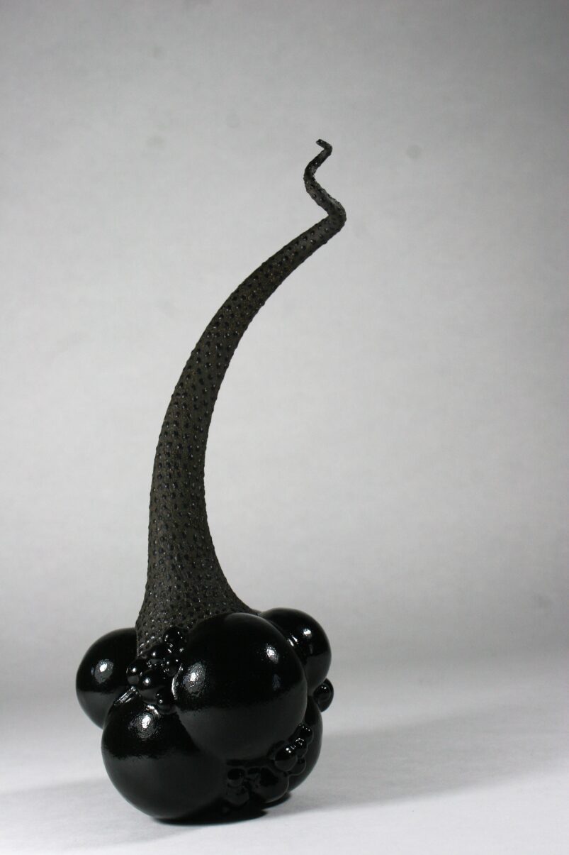 Flagella Nero 2021-09